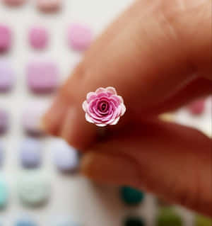 Beautiful Miniature Roses In Full Bloom Wallpaper