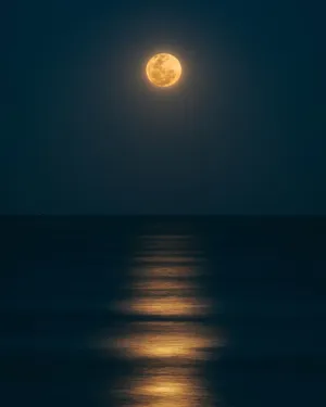 Beautiful Moon Above The Calm Sea Wallpaper