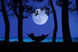 Beautiful Moon In The Blue Sky Wallpaper