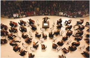 Beautiful Music Orchestra Wallpaper