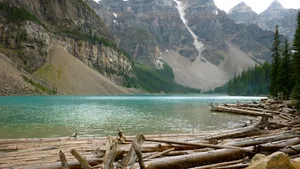 Beautiful Nature Photography Lake Log Mat Wallpaper