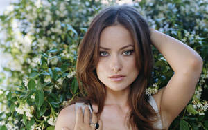 Beautiful Olivia Wilde Wallpaper