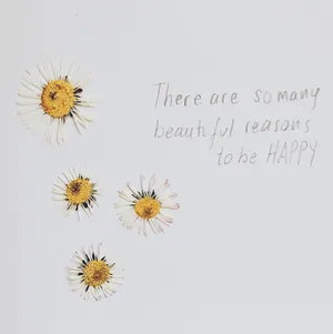 Beautiful Reasons Happiness Quote Daisies Wallpaper