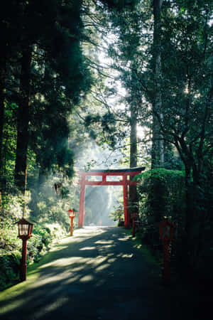 Beautiful Red Japanese Bridge Surrounded By Cherry Trees Wallpaper