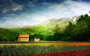 Beautiful Scenery Desktop Flower Field Wallpaper
