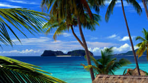 Beautiful Scenery In Apia Wallpaper