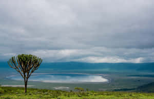 Beautiful Scenery Of Lake Magadi Tanzania Ngorongoro Crater Wallpaper