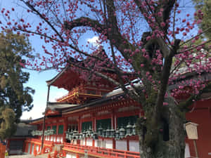 Beautiful Shinto Shrine In Serene Forest Wallpaper