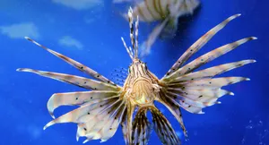 Beautiful Sky View Screenshot On 3840x2076 Display Wallpaper