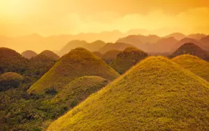 Beautiful Skyline Of The Los Angeles Nightscape Wallpaper