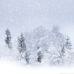 Beautiful Snowstorm In A Winter Wonderland Wallpaper