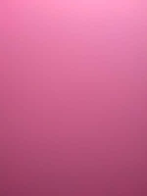Beautiful Soft Pink Solid Color Background Wallpaper
