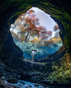 Beautiful Spring Outdoors - Blooming Flowers And Lush Greenery Wallpaper