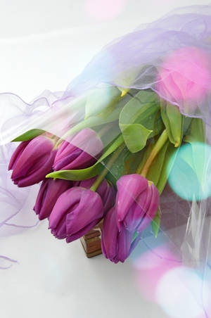 Beautiful Spring Purple Tulip Flowers Bouquet Wallpaper