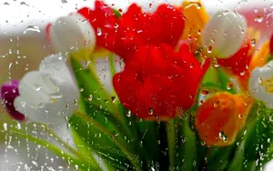 Beautiful Spring Rain Shower Wallpaper