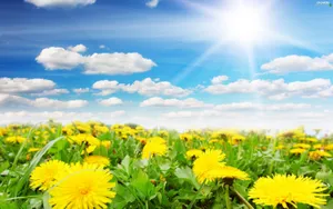 Beautiful Spring Sky Wallpaper