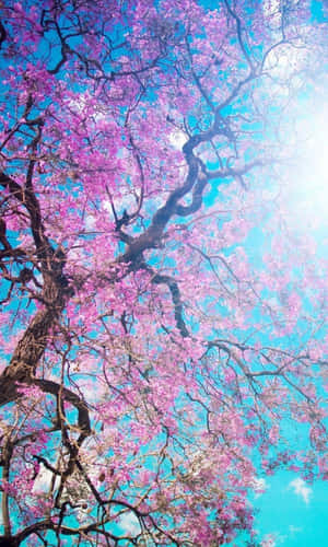 Beautiful Spring Sky Wallpaper
