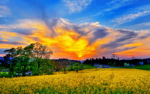 Beautiful Spring Sky With Lush Greenery And Vibrant Flowers Wallpaper