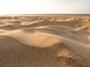 Beautiful Sunlit Beach Sand Wallpaper