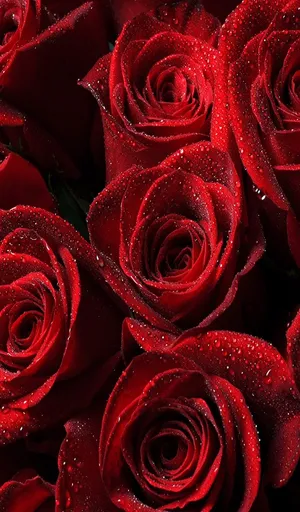 Beautiful Sunrise Over The Beach Wallpaper