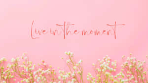 Beautiful Sunset Over A Lake. Wallpaper