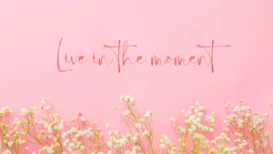 Beautiful Sunset Over A Lake. Wallpaper