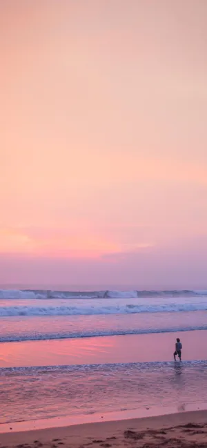 Beautiful Sunset Over An Exotic Tree Line Wallpaper