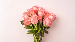 Beautiful Sunset Over The Ocean Wallpaper