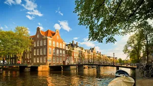 Beautiful Tulips Blooming In Bloom In Amsterdam Wallpaper