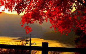 Beautiful View Of A Toronto Maple Leafs Insignia Against A Stunning Lake And Mountainscape. Wallpaper