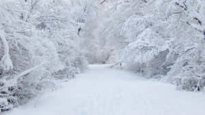 Beautiful Winter Snow View From Desktop Wallpaper