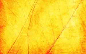 Beautiful Yellow Leaves On A Branch Wallpaper