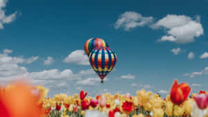 Beautiful Yellow Tulips In Bloom Wallpaper