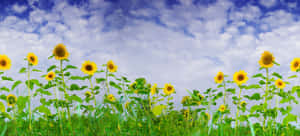 Beautifully Crafted Starlit Forest Wallpaper