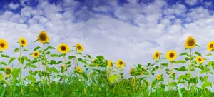 Beautifully Crafted Starlit Forest Wallpaper