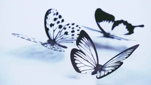 Beautifully Optimized: Butterflies Laptop Wallpaper