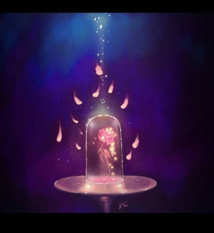 Beauty And The Beast Enchanted Rose Wallpaper