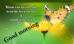 Beauty In Flights Of Fancy Wallpaper