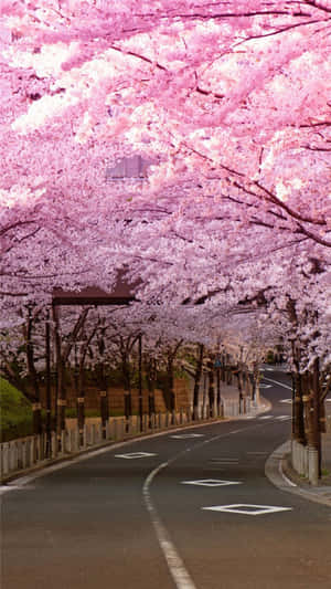 Beauty In Fushimi-inari Taisha Shrine, Japan Wallpaper