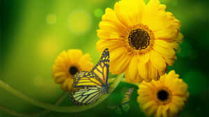 Beauty Of A Yellow Butterfly Wallpaper