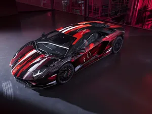 Beauty Of Nature In Its Full Splendour Wallpaper