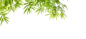 Beauty Of Nature Wallpaper