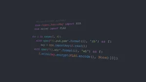 Become A Proficient Programmer With Practice And Dedication Wallpaper