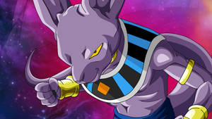 Beerus Close-up Punch Wallpaper