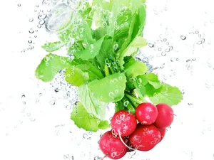 Beets Vegetable Under Water Wallpaper