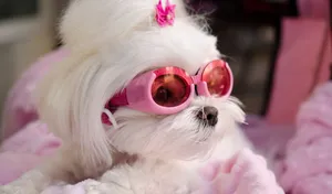 Beginning Of A Beautiful Sunset Wallpaper