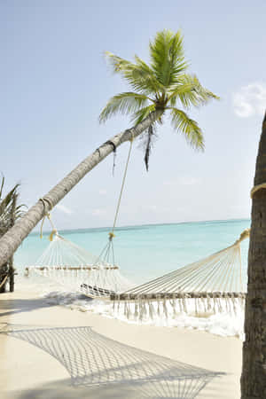 Beige Beach Hammock Paradise.jpg Wallpaper