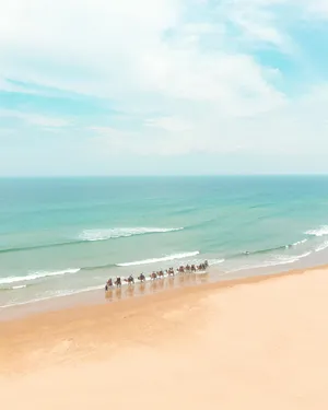 Beige Beach Horseback Riders Wallpaper