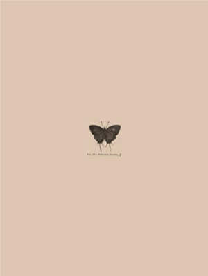 Beige Butterfly Aesthetic Artwork Wallpaper