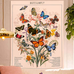 Beige Butterfly Identification Chart Wallpaper